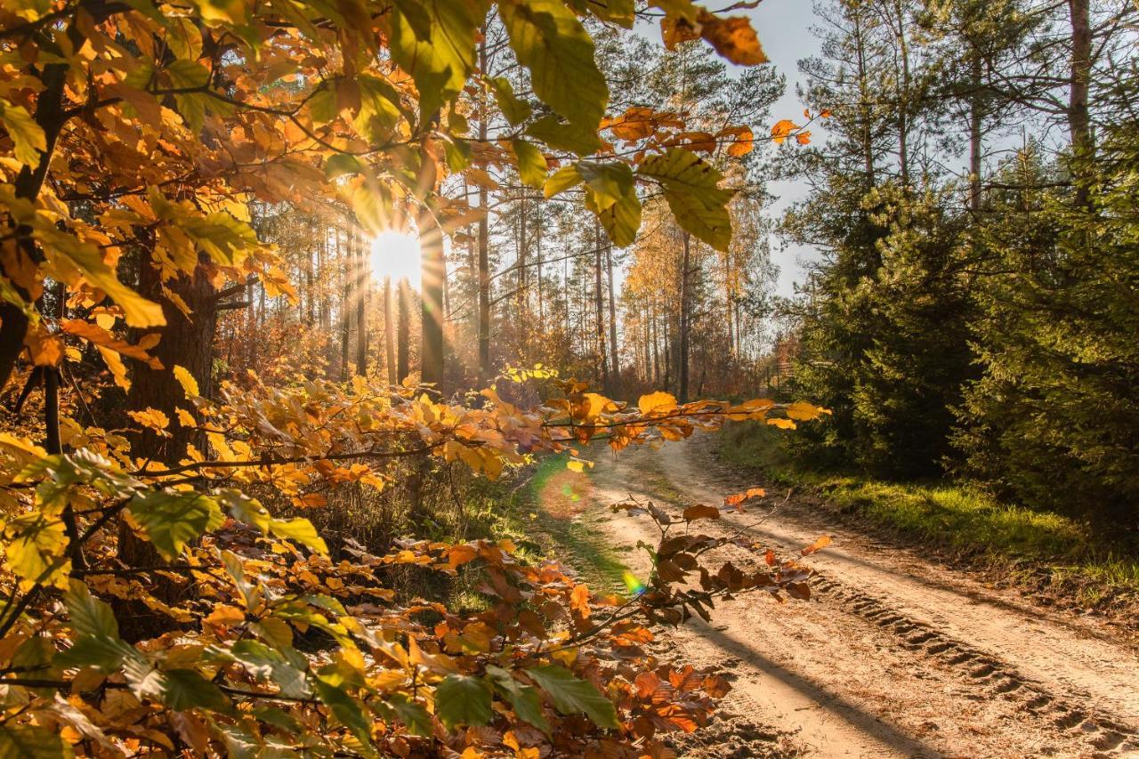 Vila Domek Aleksander Z Basenem, Bania Ruska I Sauna Sulęczyno Exteriér fotografie